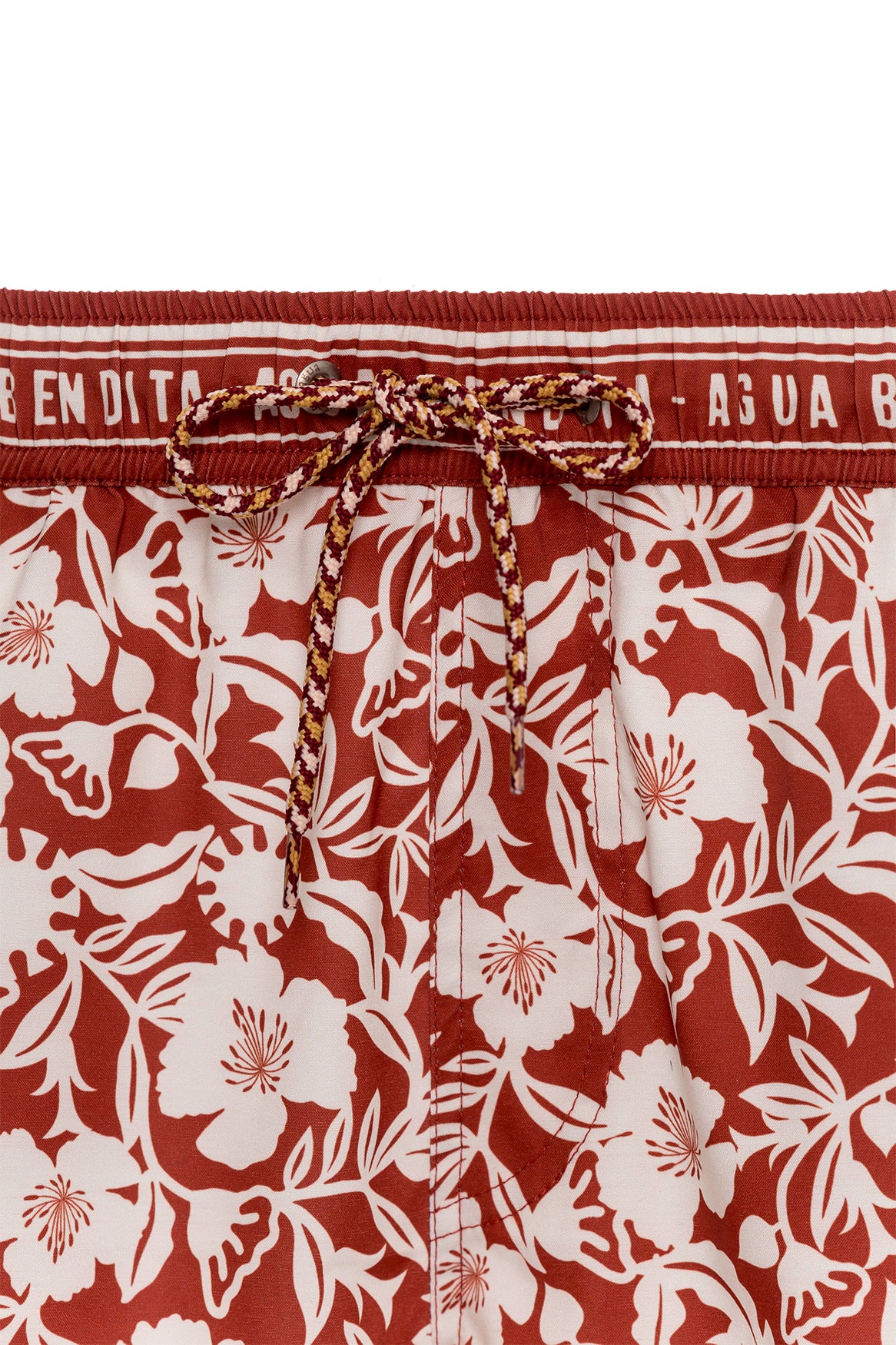 CASSIUS TRUNK