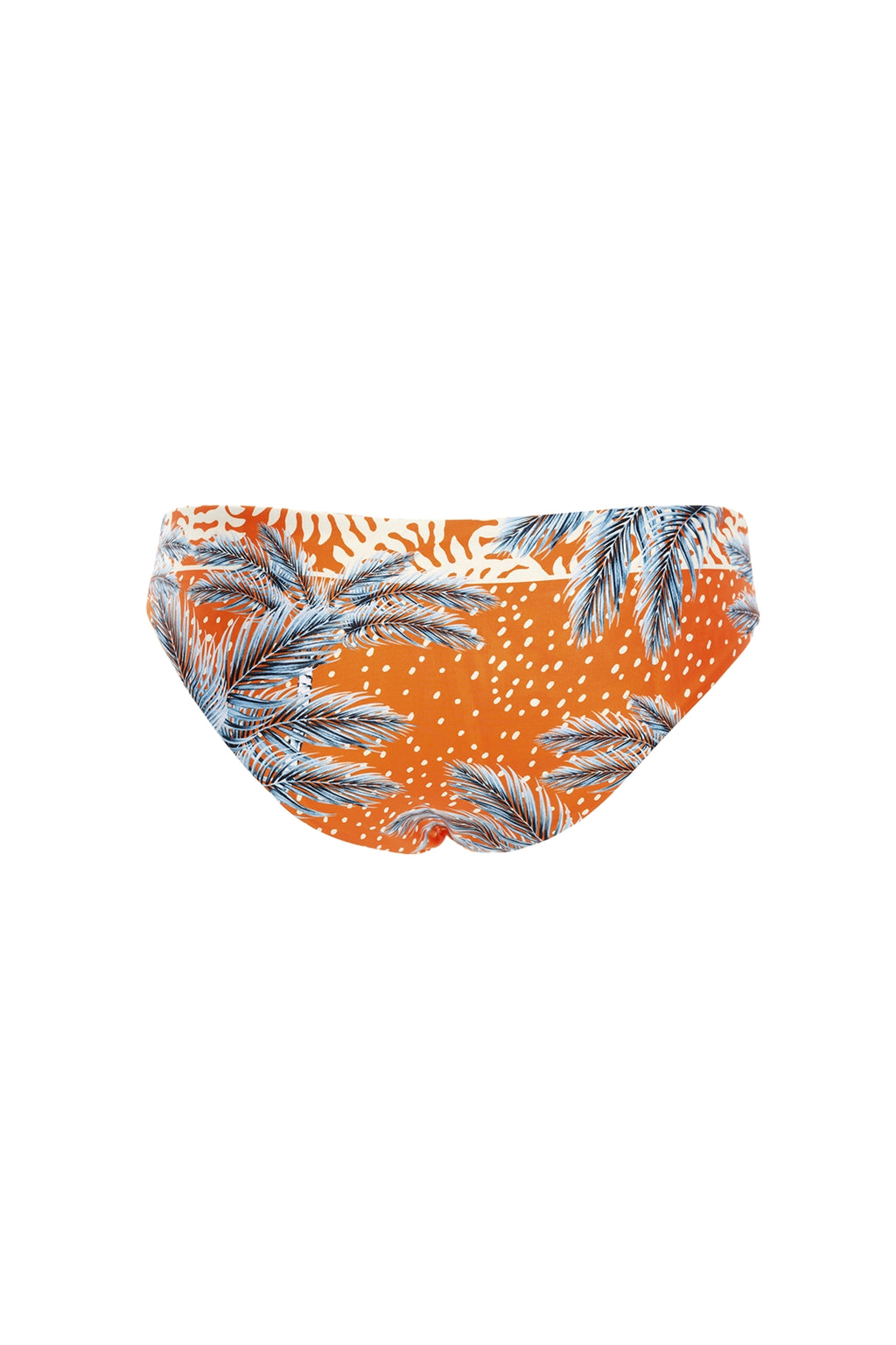 Agua Bendita Zoe Bikini Bottom Reversible